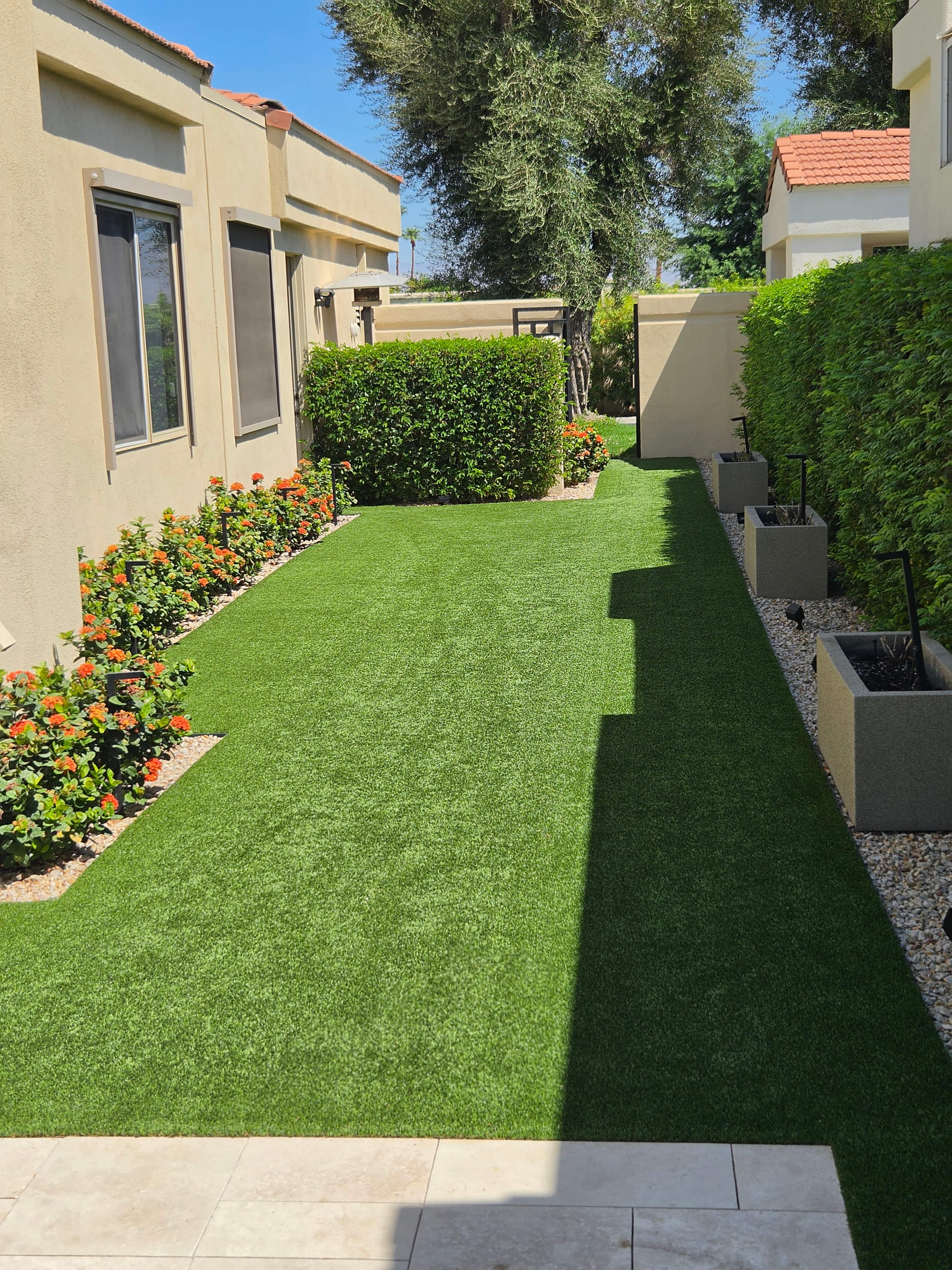 Scottsdale Airbnb turf after Pristine Paws sanitization — guest-ready and odor-free