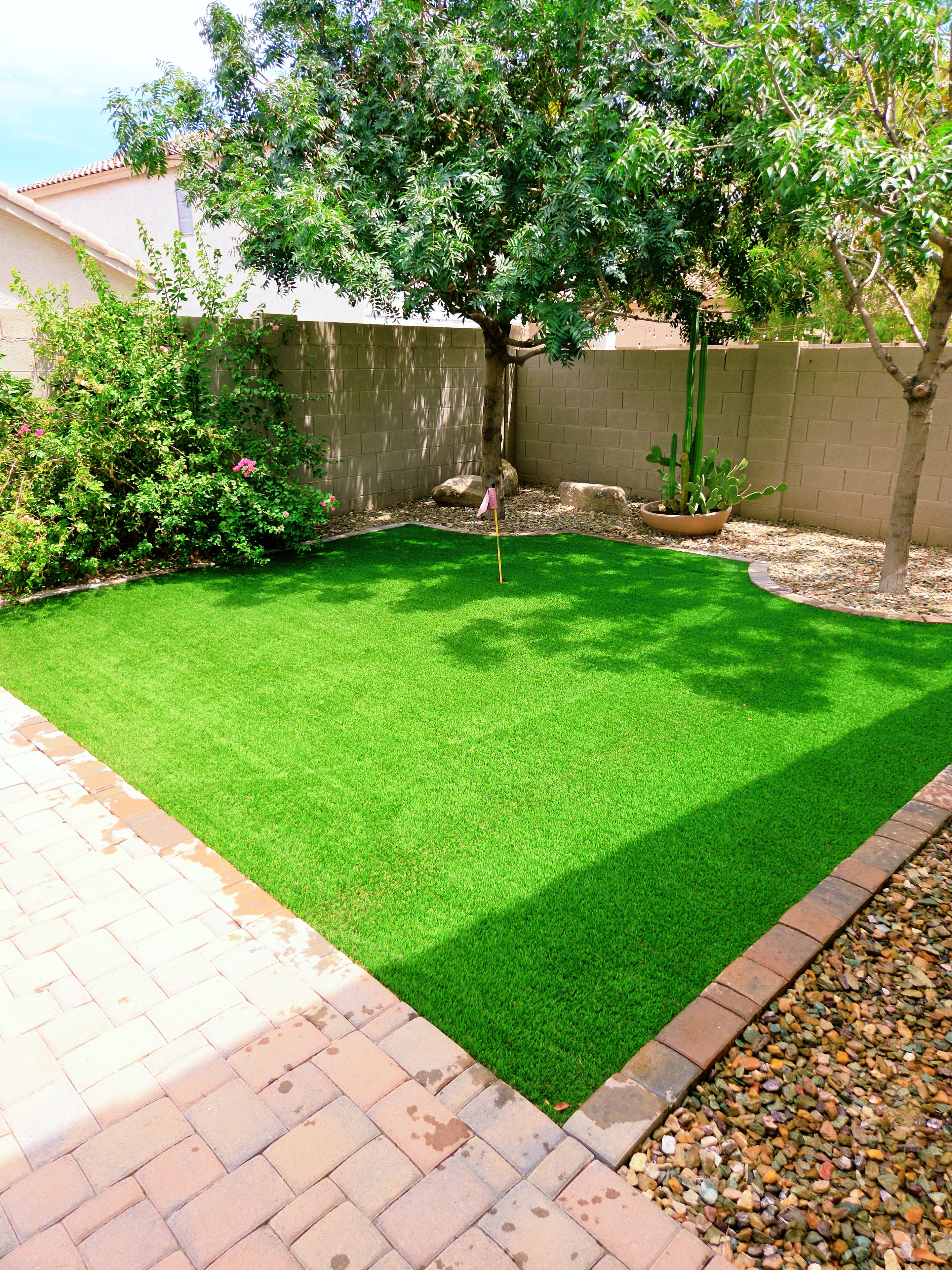 Peoria vacation rental turf after Pristine Paws sanitization — fresh and guest-ready