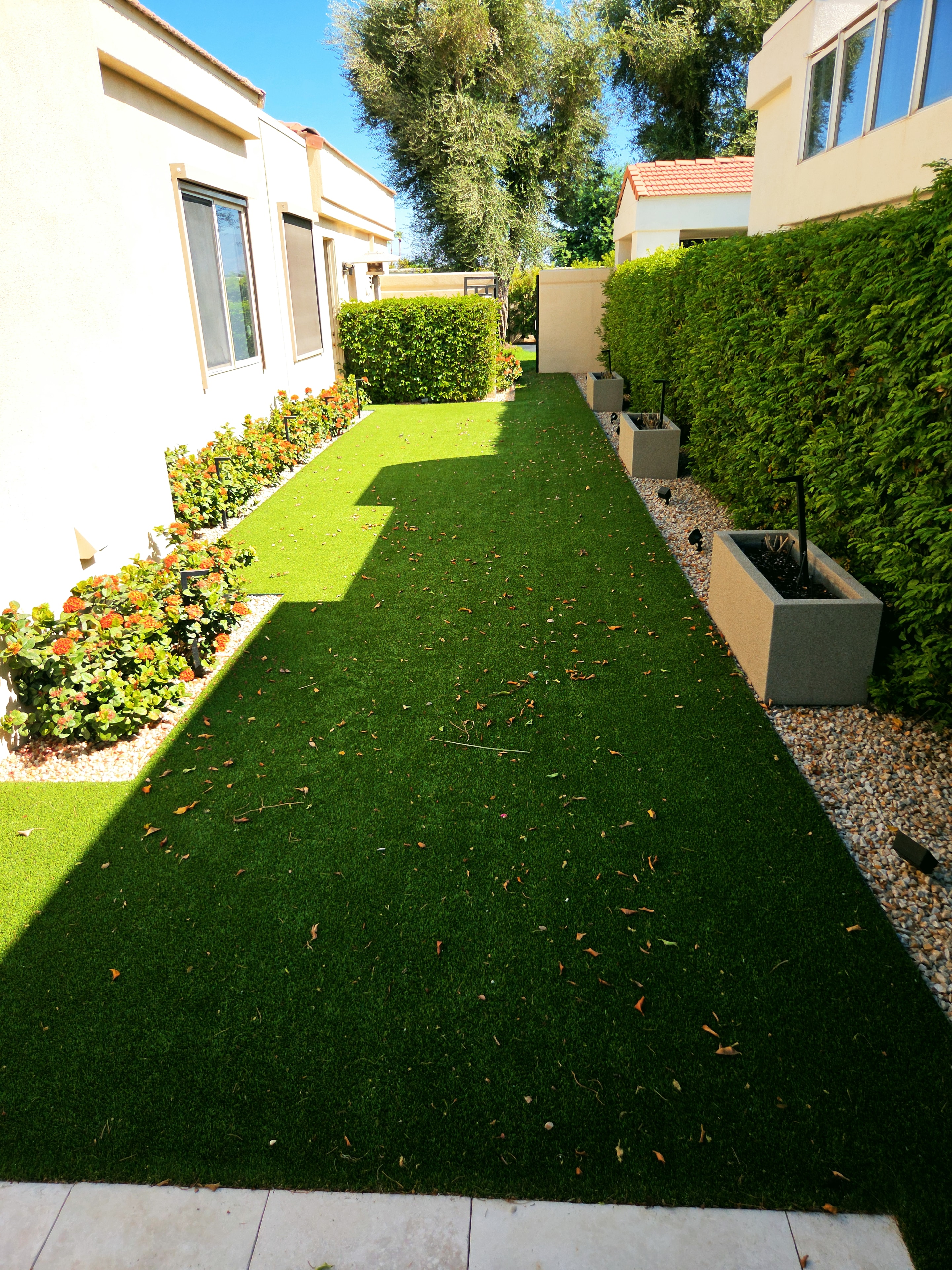 Scottsdale Airbnb turf before Pristine Paws sanitization service