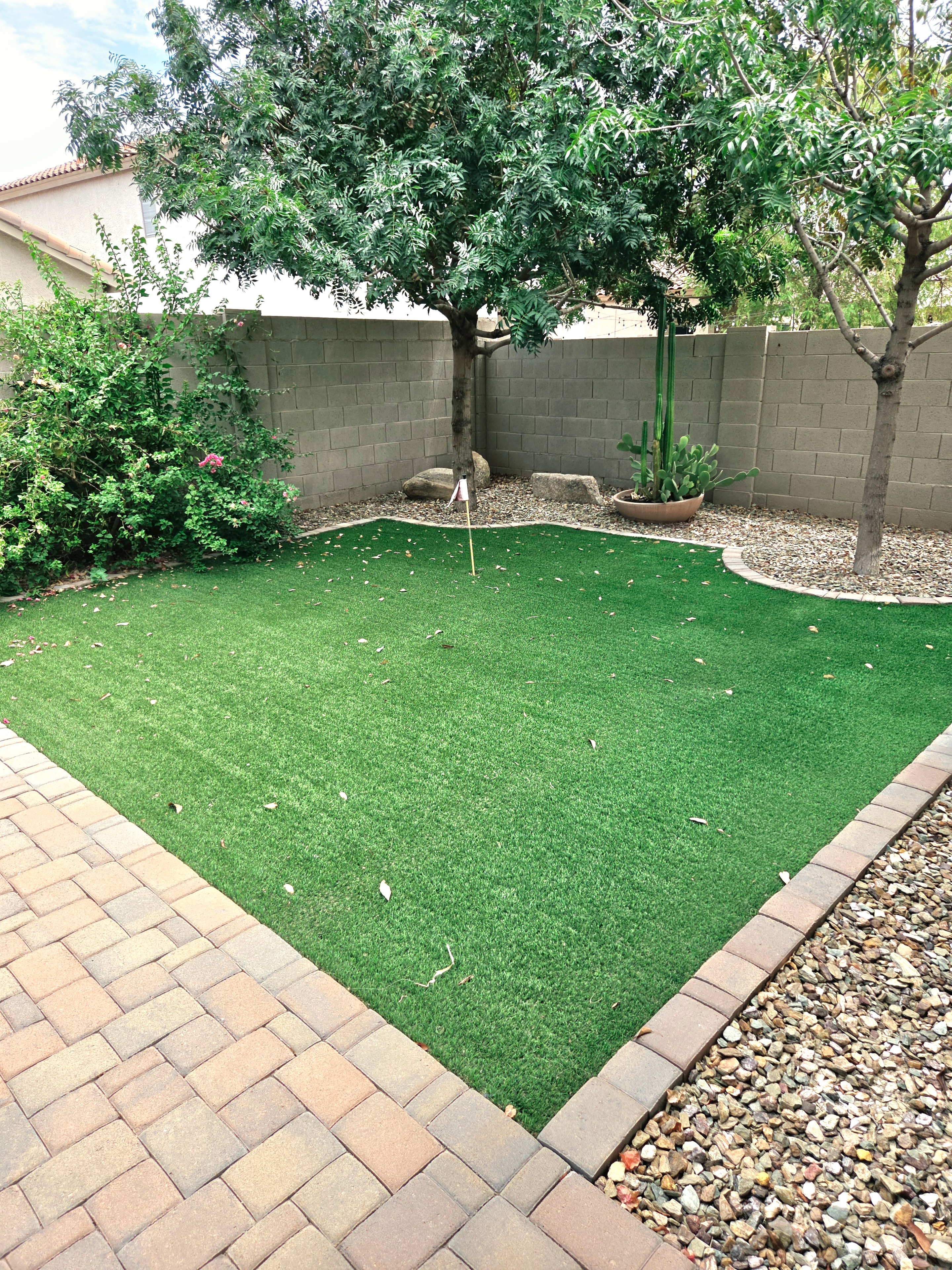 Peoria vacation rental turf before Pristine Paws cleaning service